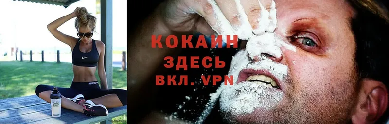 МЕГА как войти  как найти   Карачев  Cocaine 97% 