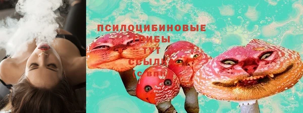 ешки Ельня