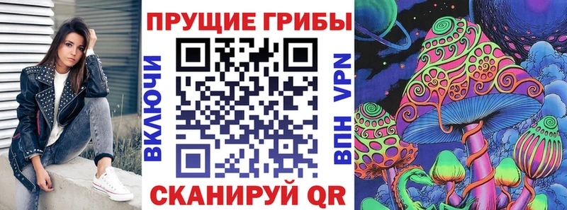 купить наркоту Карачев Галлюциногенные грибы ЛСД